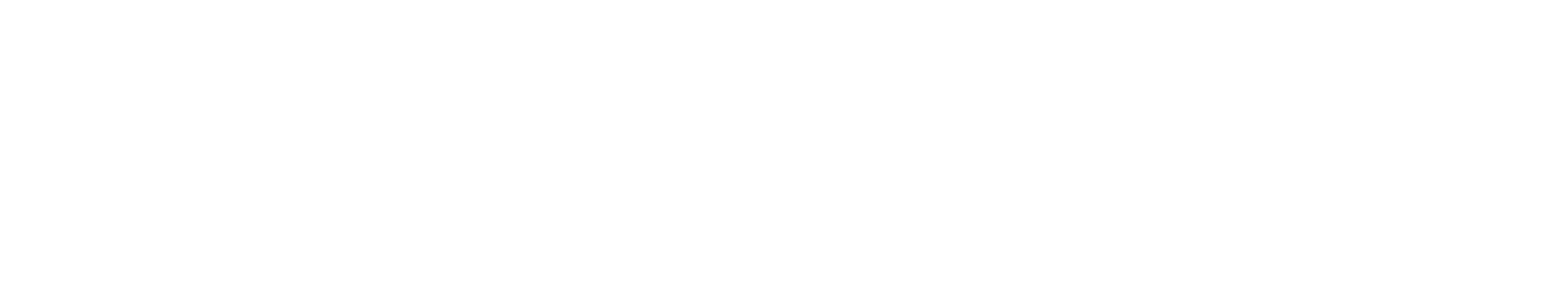 Novic Marketing Network